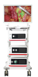 1735468021685225.png 4.png