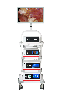 1735468031360674.png 5.png